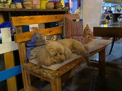 面包甜点陈列柜-半坡九号老挝冰咖啡