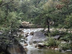 -沂蒙山旅游区云蒙景区(蒙山国家森林公园)
