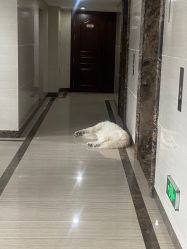 -YooMee优美智能科技美肤机构