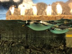 -成都浩海立方海洋公园