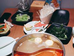 -掂档潮汕牛肉火锅(沈阳万象城店)