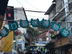 -猫咪博物馆(顶澳仔猫街店)