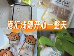 -港汇恒隆广场