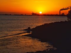 -上海吴淞炮台湾国家湿地公园