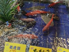 -79号渔船海鲜饭店(华强北店)