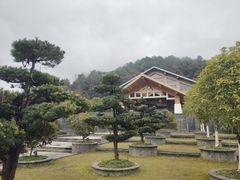 -明月山天沐温泉度假村