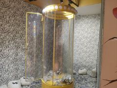 -不可思议减压馆·解压博物馆·摔碗发泄·团建定制