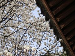 -龙华寺