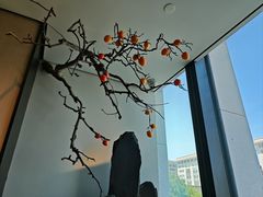 -杏花堂晋商私房菜(华熙五棵松店)