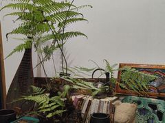 -道南書院·私房菜·早午茶·茶馆