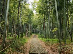 -天下银坑