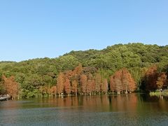 -广州市白云山风景名胜区