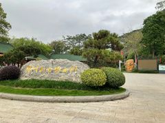 -顺峰山公园