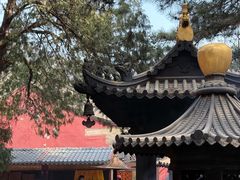 -潭柘寺景区