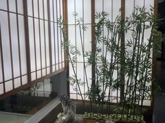 -桃夭日式料理(国信店)