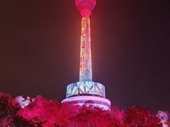-龟山风景区-龟山电视塔