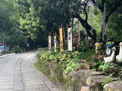 -青青世界