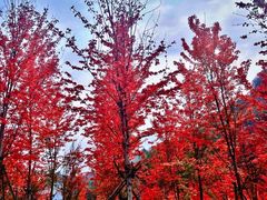 -九鼎铁刹山风景区
