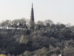 -西湖外事游船(湖滨二公园外事游船码头)