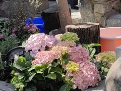 景观位-尽善百年古院餐厅(王家老宅店)