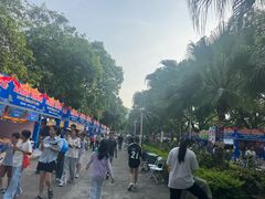 -风云岭森林公园