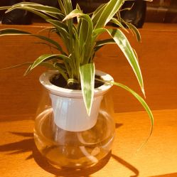 -时尚殿堂·颜SPA