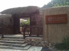 -看见远方·莫干遥远的山民宿