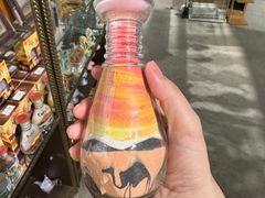 -迪拜沙漠冲沙