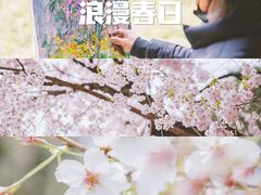 -西安青龙寺遗址景区