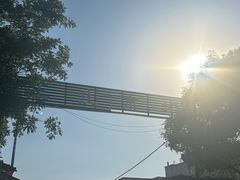 -王庄市场
