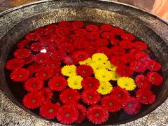 -蒙亨·手把肉·蒙古包文化主题餐厅(天恒广场店)