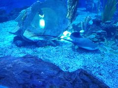 -多彩贵州城极地海洋世界