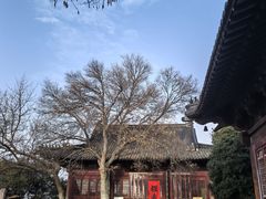 -伯先公园
