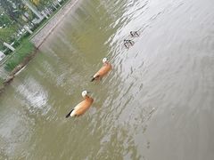 -南翠屏公园