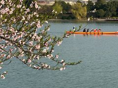 -羊山湖公园
