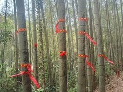 -千泷沟大瀑布旅游区