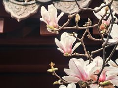 -长春观斋补堂素菜馆