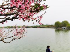 -大兴滨河森林公园