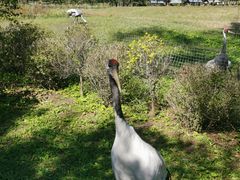 -沈阳森林动物园