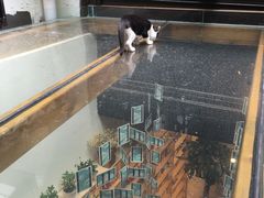 -猫的天空之城概念书店(杭州南宋御街店)