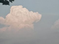 -星光岛