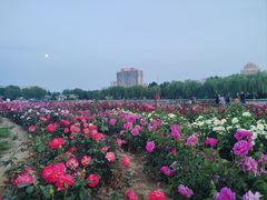 -廊坊文化艺术中心