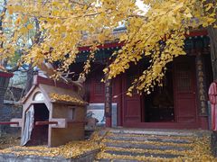 -水峪民俗村