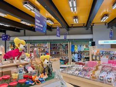 -帕帕拉兹宠物(亚洲旗舰店)