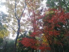 -首义公园-武昌蛇山烈士祠