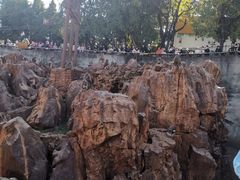-昆明动物园