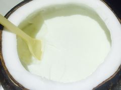 -志龙皇冠吃货椰子铺