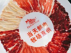 -手选潮汕鲜活牛肉火锅(二七广场店)