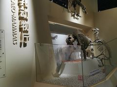 -国家自然博物馆