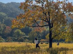 -塔川景区